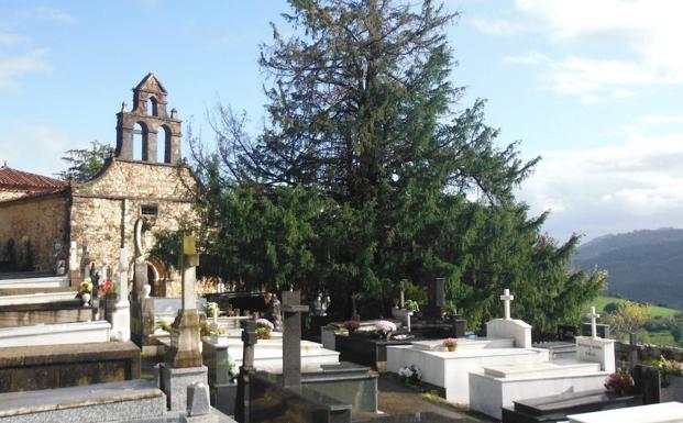 Cementerio de Salas
